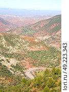 dades valley in atlas moroco   africa ground tree  and nobody. Стоковое фото, агентство Ingram Publishing / Фотобанк Лори