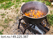 Tasty Hungarian goulash soup bograch with paprika and beef meat. Traditional cooking in the nature. Cauldron on fire. Стоковое фото, агентство Ingram Publishing / Фотобанк Лори