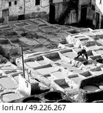 blur in morocco africa the antique tannery near the medina . Стоковое фото, агентство Ingram Publishing / Фотобанк Лори