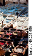 blur in morocco africa the antique tannery near the medina . Стоковое фото, агентство Ingram Publishing / Фотобанк Лори