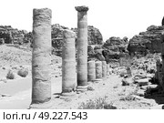 in petra jordan the antique street full of columns and architecture heritage. Стоковое фото, агентство Ingram Publishing / Фотобанк Лори
