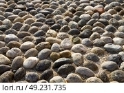 in mozzate  street lombardy italy  varese abstract   pavement of a curch and marble. Стоковое фото, агентство Ingram Publishing / Фотобанк Лори