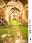 old moroccan granary in the green grass and archway  wall. Стоковое фото, агентство Ingram Publishing / Фотобанк Лори
