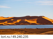 sunshine in the desert of morocco sand and  lake        dune. Стоковое фото, агентство Ingram Publishing / Фотобанк Лори
