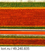 thailand abstract cross colors roof wat  palaces in the temple  bangkok  asia and sky. Стоковое фото, агентство Ingram Publishing / Фотобанк Лори