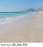 the mountain and sea seagull full  in oman coastline of salalah . Стоковое фото, агентство Ingram Publishing / Фотобанк Лори