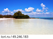 coastline and rock in the  blue lagoon relax  of isla contoy  mexico. Стоковое фото, агентство Ingram Publishing / Фотобанк Лори