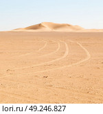 the empty quarter  and outdoor  sand  dune in oman old desert rub   al khali . Стоковое фото, агентство Ingram Publishing / Фотобанк Лори