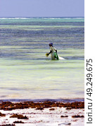 people and seaweed in the  blue lagoon relax  of zanzibar africa. Стоковое фото, агентство Ingram Publishing / Фотобанк Лори