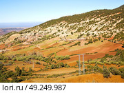 dades valley in atlas moroco africa ground tree  and nobody. Стоковое фото, агентство Ingram Publishing / Фотобанк Лори