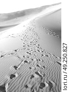 the empty quarter  and outdoor  sand  dune in oman old desert rub al khali . Стоковое фото, агентство Ingram Publishing / Фотобанк Лори