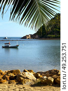 asia in  kho phangan thailand bay isle   beach    rocks pirogue palm and south china sea . Стоковое фото, агентство Ingram Publishing / Фотобанк Лори