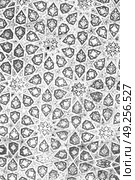 blur in iran abstract texture of the  religion  architecture mosque roof persian history. Стоковое фото, агентство Ingram Publishing / Фотобанк Лори