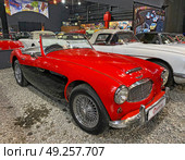 Автомобиль Austin-Healey 3000 ("Остин-Хили 3000"), 1960 г. Автомузей "Автомобили мира", Москва (2023 год). Редакционное фото, фотограф Мария Кылосова / Фотобанк Лори
