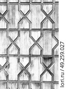 blur in iran antique door entrance and      decorative handle for background. Стоковое фото, агентство Ingram Publishing / Фотобанк Лори