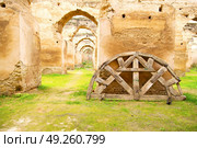old moroccan granary in the green grass and archway  wall. Стоковое фото, агентство Ingram Publishing / Фотобанк Лори