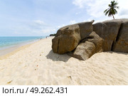 myanmar asia  kho samui bay isle froth foam   in thailand and south china sea . Стоковое фото, агентство Ingram Publishing / Фотобанк Лори