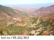 dades valley in  atlas moroco   africa ground tree  and nobody. Стоковое фото, агентство Ingram Publishing / Фотобанк Лори