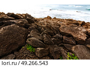 blur in south africa   sky ocean  isimagaliso reserve nature and rocks. Стоковое фото, агентство Ingram Publishing / Фотобанк Лори