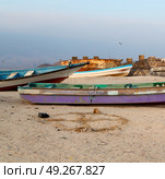 and seagull near ocean in oman boat in the coastline . Стоковое фото, агентство Ingram Publishing / Фотобанк Лори