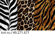collage of wild animal patterns with zebra and tiger stripes , jaguar spots. Стоковое AI-изображение, AI-художник Anastasy Yarmolovich / Фотобанк Лори