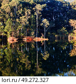 in lesotho mlilwane wildlife santuary the pound lake and  tree reflection in water. Стоковое фото, агентство Ingram Publishing / Фотобанк Лори