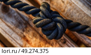 cord rope nautical cable like strong connection concept background . Стоковое фото, агентство Ingram Publishing / Фотобанк Лори