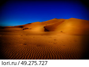 the empty quarter  and outdoor  sand  dune in oman old desert rub   al khali . Стоковое фото, агентство Ingram Publishing / Фотобанк Лори