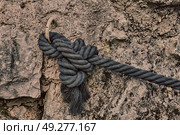cord rope nautical cable like strong connection concept background . Стоковое фото, агентство Ingram Publishing / Фотобанк Лори