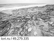 blur in south africa   sky ocean  isimagaliso reserve nature and rocks. Стоковое фото, агентство Ingram Publishing / Фотобанк Лори