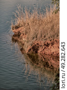 in lesotho mlilwane wildlife santuary the pound lake and  tree reflection in water. Стоковое фото, агентство Ingram Publishing / Фотобанк Лори