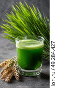 Refreshing Green Drink Close to Fresh Wheatgrass and Healthy Grains on a Gray Background. Стоковое AI-изображение, AI-художник Юлия Гапеенко / Фотобанк Лори