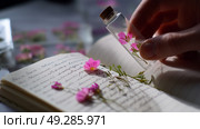Creating a floral keepsake with pressed flowers in a personal journal. Стоковое AI-изображение, AI-художник Сергей Толмачёв / Фотобанк Лори