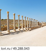  old   construction in asia   turkey the column  and the roman temple . Стоковое фото, агентство Ingram Publishing / Фотобанк Лори