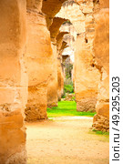 old moroccan granary in the green grass and archway  wall. Стоковое фото, агентство Ingram Publishing / Фотобанк Лори