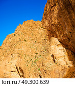 in todra africa morocco the atlas dry mountain. Стоковое фото, агентство Ingram Publishing / Фотобанк Лори