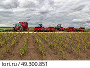 Kaliningrad, RUSSIA - July 29, 2022: Agricultural Exhibition. Agricultural machinery in the field. Редакционное фото, фотограф Ольга Сейфутдинова / Фотобанк Лори