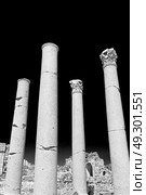 column    temple and theatre in ephesus   antalya turkey asia sky  the ruins. Стоковое фото, агентство Ingram Publishing / Фотобанк Лори