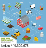 Hydroponics Isometric Flowchart. Hydroponics isometric flowchart with plants watering and farming symbols vector illustration. Стоковая иллюстрация, агентство Ingram Publishing / Фотобанк Лори