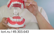 Person demonstrating mechanics of hinged dental model for oral care education. Стоковое видео, видеограф Zakharova Natasha / Фотобанк Лори