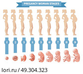 Pregnancy Woman Stages Vector Illustration . Pregnancy woman stages vector illustration with flat silhouettes of pregnant women and realistic human embryonic development icons . Стоковая иллюстрация, агентство Ingram Publishing / Фотобанк Лори