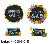 Spring Sale Chalkboard Banners . Spring sale chalkboard banners with decorative  frames contain colorful sun rays and flowers flat vector illustration. Стоковая иллюстрация, агентство Ingram Publishing / Фотобанк Лори