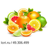 Citrus Fruits Collection Realistic Composition . Citrus fruit whole halves and quarters colorful composition with lime lemon grapefruit and oranges realistic vector illustration . Стоковая иллюстрация, агентство Ingram Publishing / Фотобанк Лори