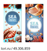 Seashell Banners Set. Sea travel vertical banners with various seashells and sea animals isolated on white background realistic vector illustration. Стоковая иллюстрация, агентство Ingram Publishing / Фотобанк Лори