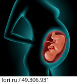 Silhouette Of Pregnant Woman With Fetus In Womb. Silhouette of a pregnant woman with highlighted image of her fetus in womb 3d vector illustration . Стоковая иллюстрация, агентство Ingram Publishing / Фотобанк Лори