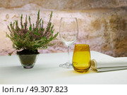 Restaurant table with mediterranean herbs and stone background. Стоковое фото, агентство Ingram Publishing / Фотобанк Лори