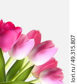 Beautiful Pink Realistic Tulip Background Vector Illustration EPS10. Beautiful Pink Realistic Tulip Background Vector Illustration EP. Стоковая иллюстрация, агентство Ingram Publishing / Фотобанк Лори