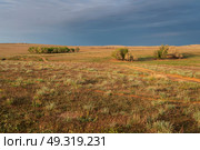 View of semi-desert landscapes opening from the foot of the tourist center "Sarai-Batu" on a sunny summer day, Kharabalinsky district, Astrakhan region, Russia. Стоковое фото, фотограф Ula Ulachka / Фотобанк Лори
