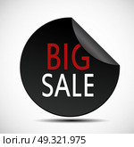 Circle Big Sale Label Vector Illustration EPS10. Circle Big Sale Label Vector Illustration. Стоковая иллюстрация, агентство Ingram Publishing / Фотобанк Лори