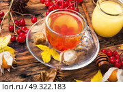 cup of tea with autumn leaves. cup tea with mulberry on background with autumn leaves.Autumn still life. Стоковое фото, агентство Ingram Publishing / Фотобанк Лори